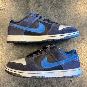 Dunk Low SB Patagonia